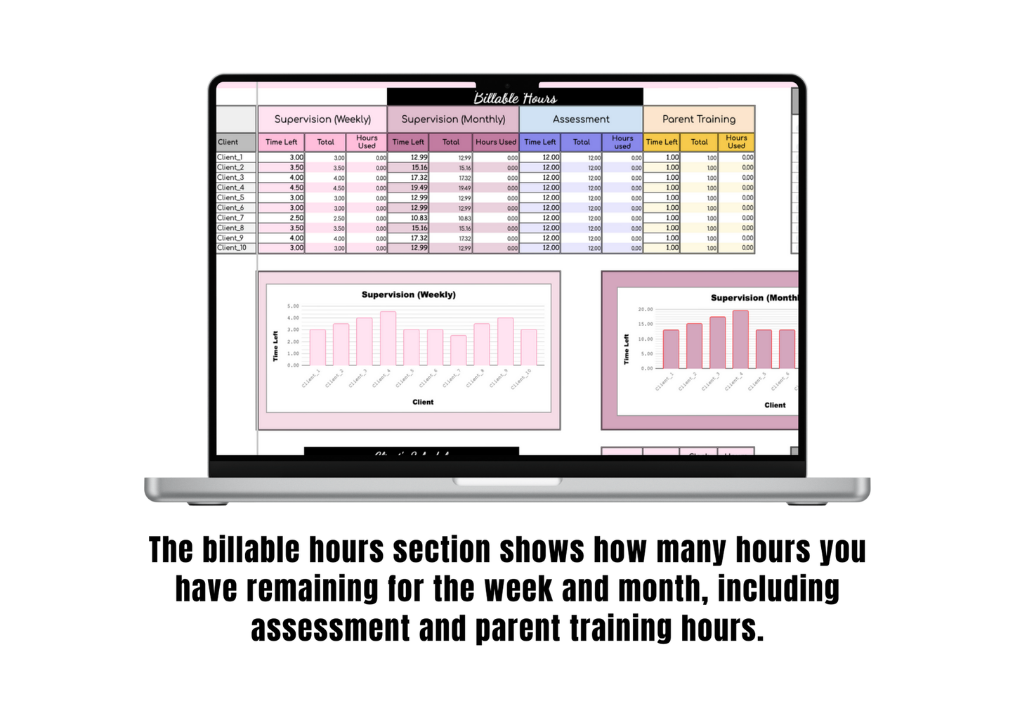 BCBA Caseload Organizer (Google Sheet)