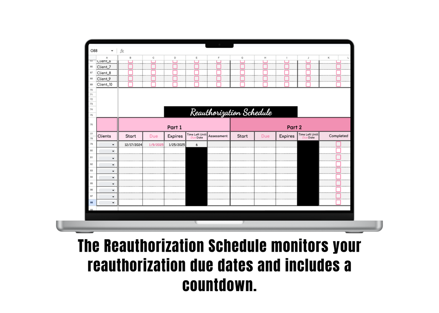 Google Sheet: BCBA Caseload Organizer