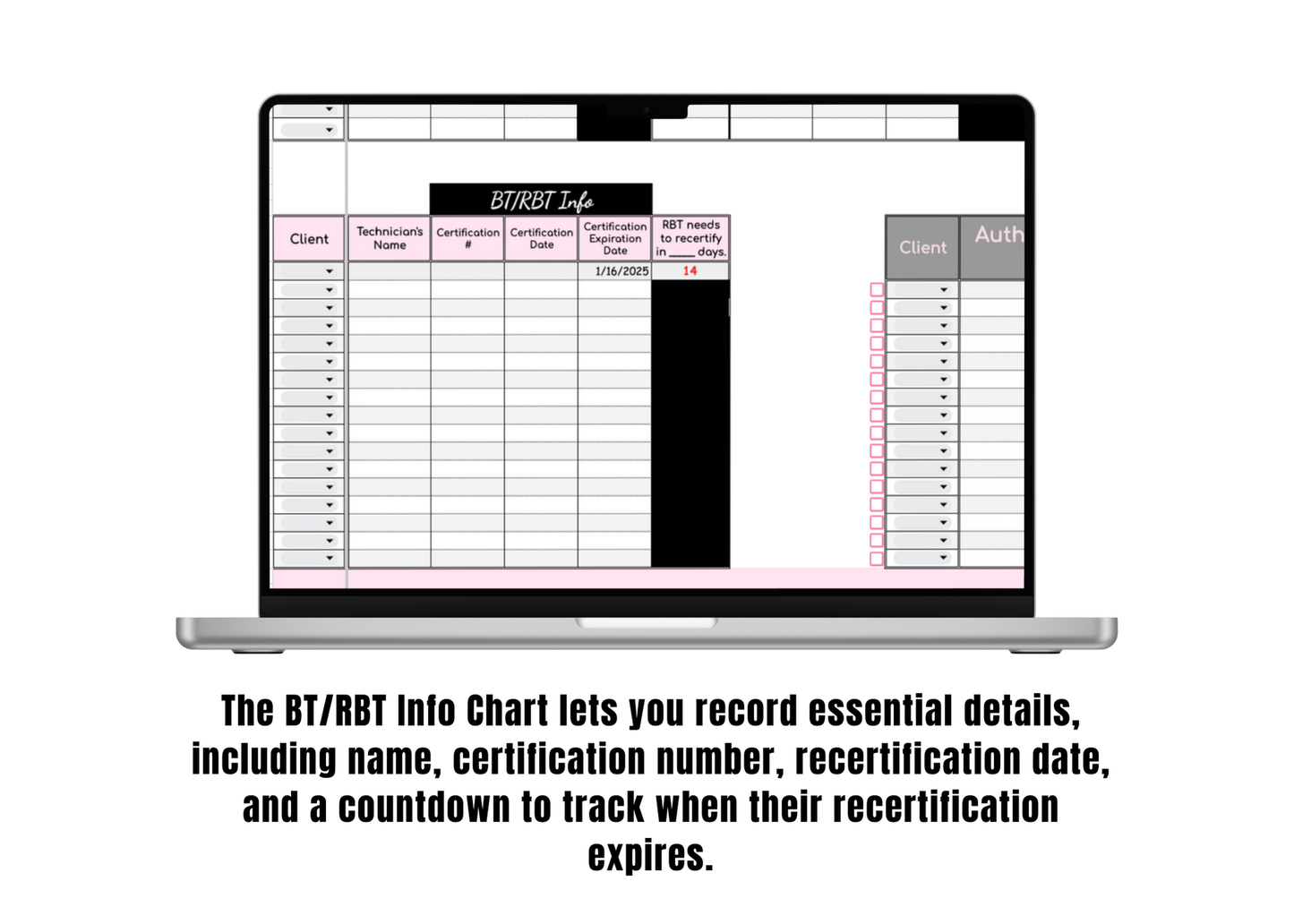 Google Sheet: BCBA Caseload Organizer