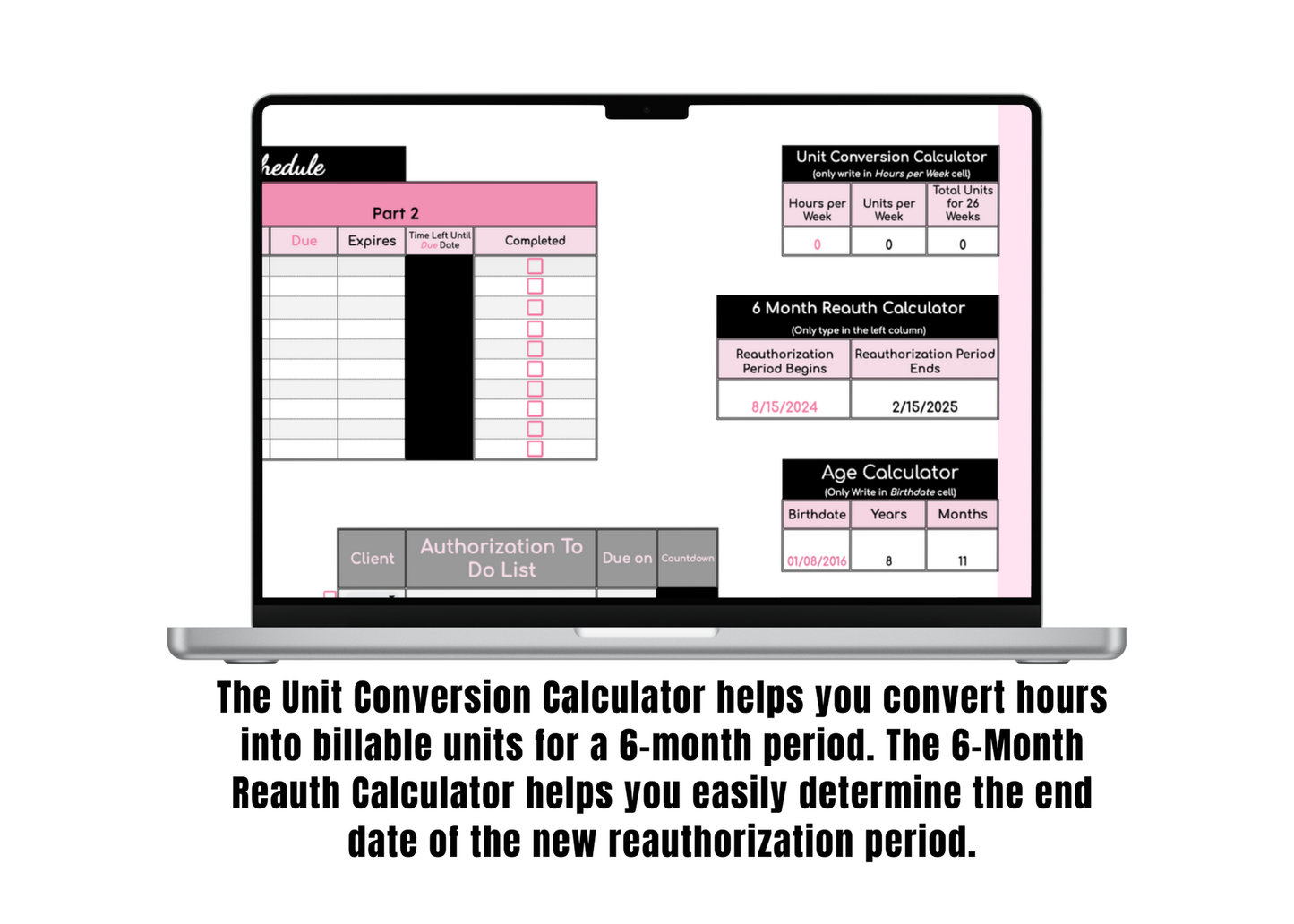 Google Sheet: BCBA Caseload Organizer